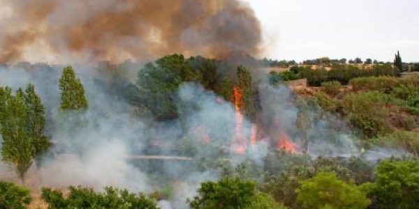 kebakaran hutan kebakaran hutan